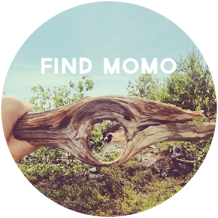 Go Find Momo